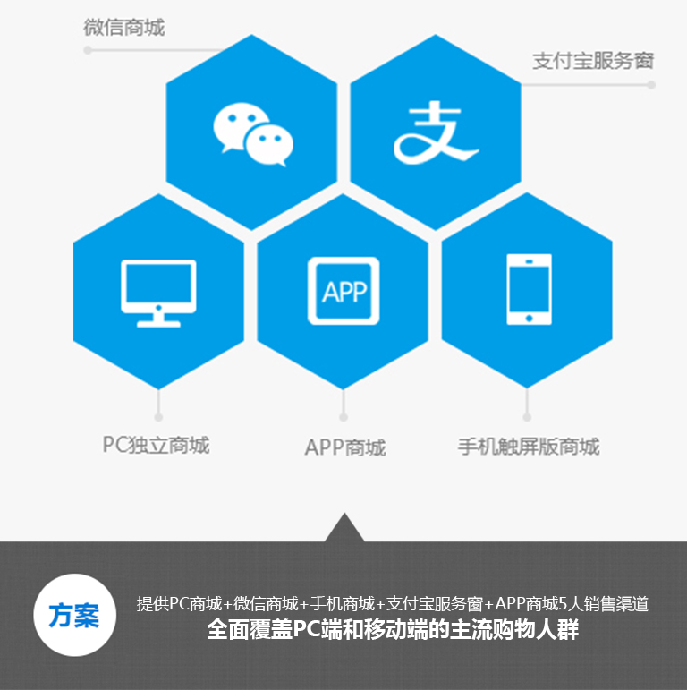 线上“1+1+N”渠道布局